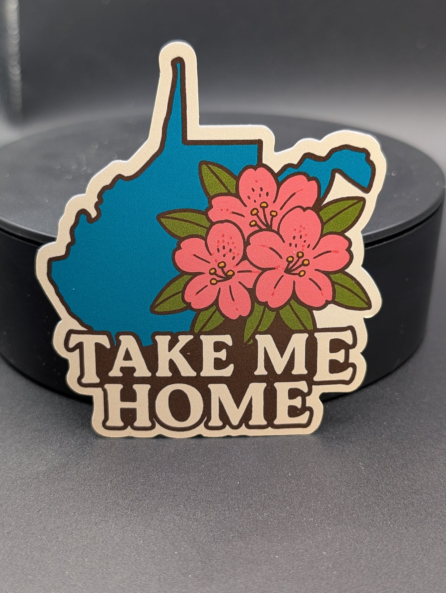 Take Me Home Sticker